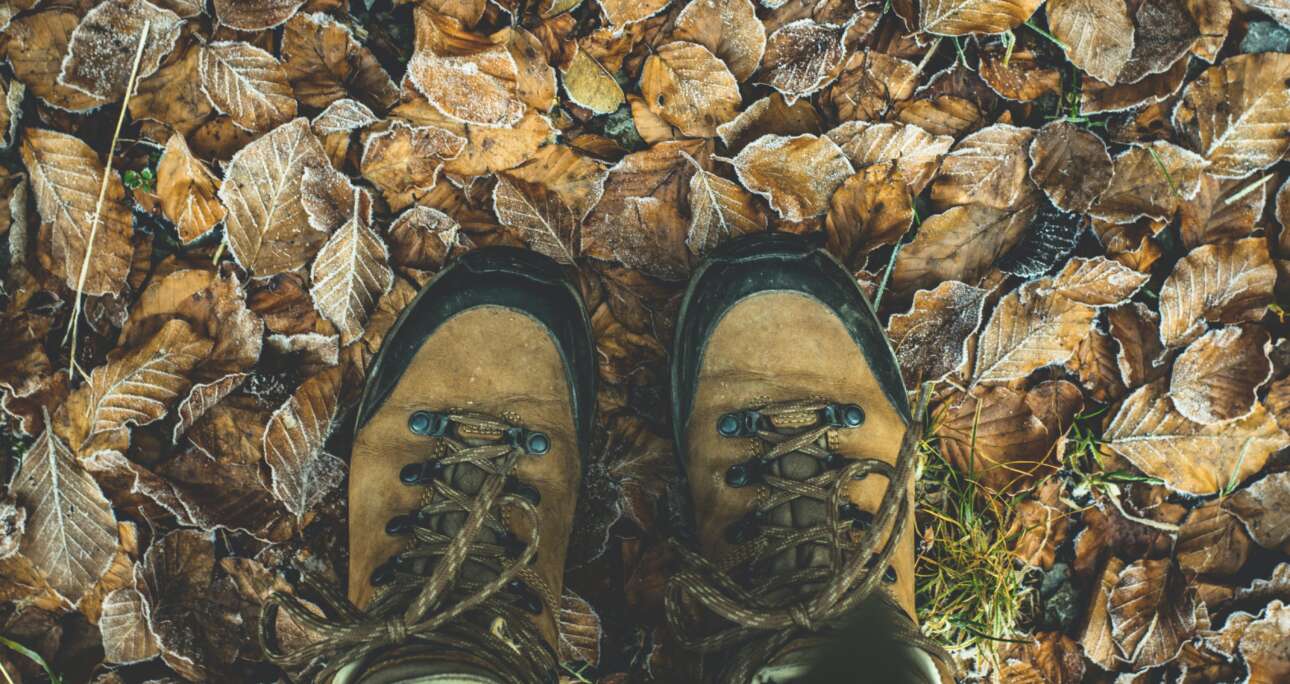 The Unplug Project: Embracing a Tech Detox in a Hyperconnected World